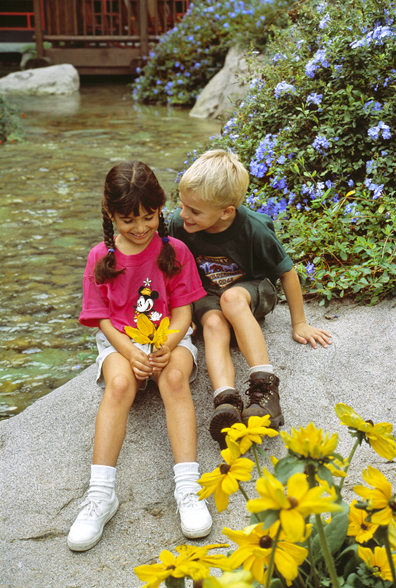 Wilderness Lodge Lifestyles