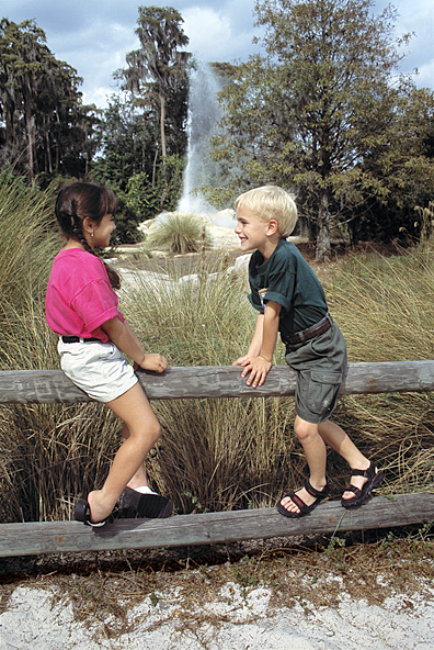 Wilderness Lodge Lifestyles