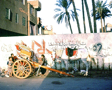 Cart before the Horse